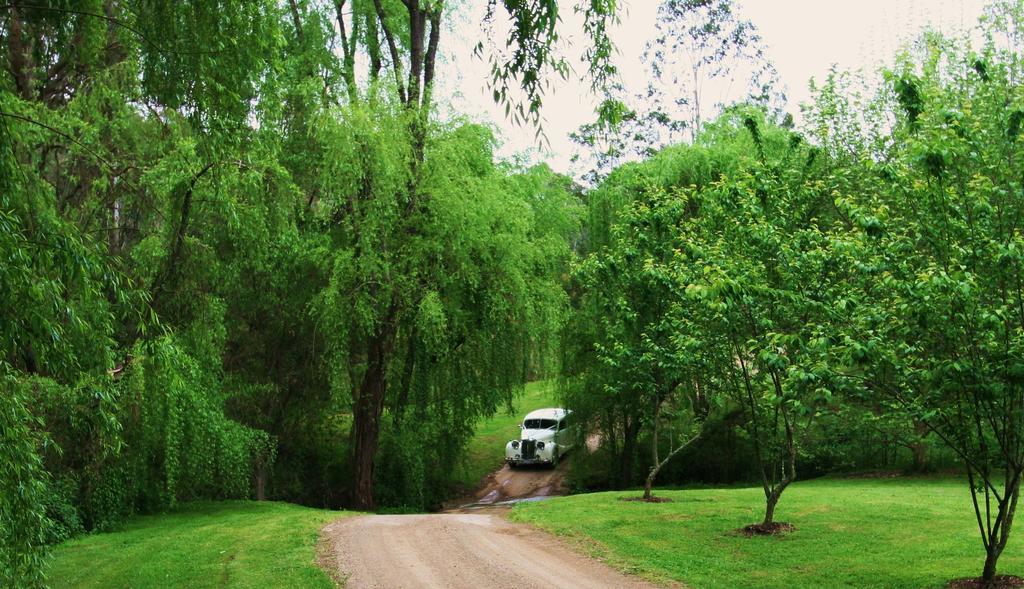 Cedars Mount View (Adults Only) Villa Luaran gambar